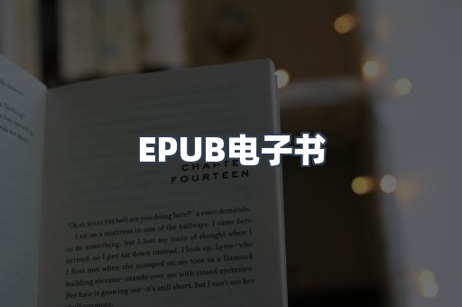 EPUB电子书