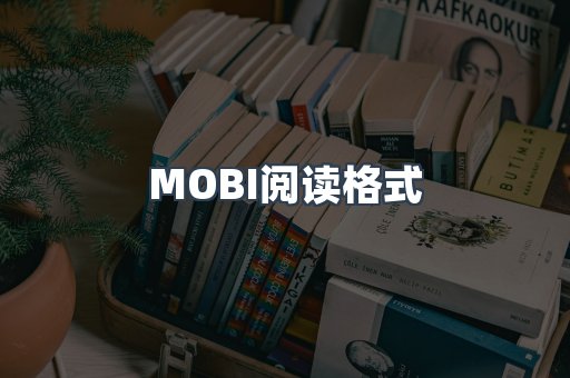 MOBI阅读格式